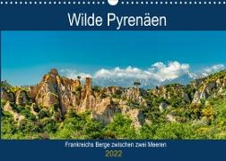 Wilde Pyrenäen (Wandkalender 2022 DIN A3 quer)