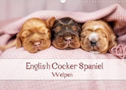 English Cocker Spaniel Welpen (Wandkalender 2022 DIN A3 quer)