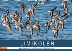 Limikolen - Watvögel am norddeutschen Wattenmeer (Wandkalender 2022 DIN A2 quer)