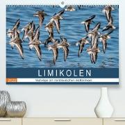 Limikolen - Watvögel am norddeutschen Wattenmeer (Premium, hochwertiger DIN A2 Wandkalender 2022, Kunstdruck in Hochglanz)