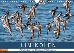 Limikolen - Watvögel am norddeutschen Wattenmeer (Wandkalender 2022 DIN A4 quer)