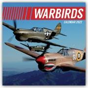 Warbirds - Kampfflugzeuge 2022
