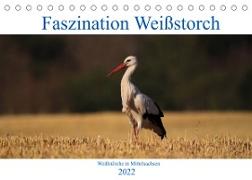 Faszination Weißstorch (Tischkalender 2022 DIN A5 quer)