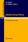 Abelian Group Theory