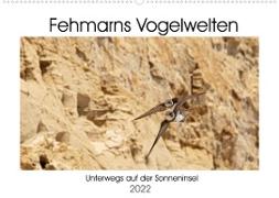 Fehmarn Vogelwelten (Wandkalender 2022 DIN A2 quer)