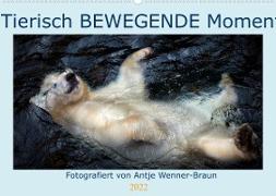 Tierisch BEWEGENDE Momente (Wandkalender 2022 DIN A2 quer)