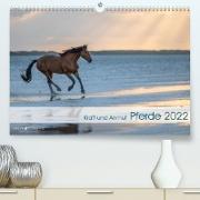 Pferde 2022 Kraft und Anmut (Premium, hochwertiger DIN A2 Wandkalender 2022, Kunstdruck in Hochglanz)