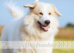 Pyrenäenberghunde (Wandkalender 2022 DIN A3 quer)