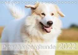 Pyrenäenberghunde (Tischkalender 2022 DIN A5 quer)