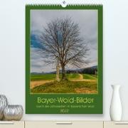 Bayer-Woid-Bilder (Premium, hochwertiger DIN A2 Wandkalender 2022, Kunstdruck in Hochglanz)