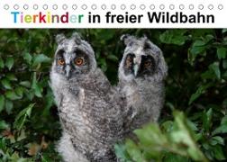 Tierkinder in freier Wildbahn (Tischkalender 2022 DIN A5 quer)