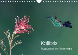 Kolibris - Flugkünstler im Regenwald (Wandkalender 2022 DIN A4 quer)