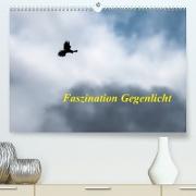 Faszination Gegenlicht (Premium, hochwertiger DIN A2 Wandkalender 2022, Kunstdruck in Hochglanz)