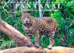 Pantanal: Faszinierende Tiere hautnah (Tischkalender 2022 DIN A5 quer)