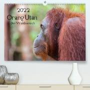 Orang Utan 2022 - Der Waldmensch (Premium, hochwertiger DIN A2 Wandkalender 2022, Kunstdruck in Hochglanz)