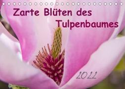 Zarte Blüten des Tulpenbaumes (Tischkalender 2022 DIN A5 quer)