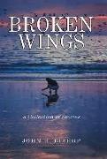 Broken Wings