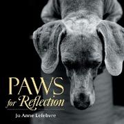 Paws for Reflection