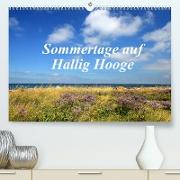 Sommertage auf Hallig Hooge (Premium, hochwertiger DIN A2 Wandkalender 2022, Kunstdruck in Hochglanz)