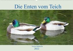 Die Enten vom Teich (Wandkalender 2022 DIN A2 quer)