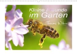 Kleine Freunde im Garten (Wandkalender 2022 DIN A3 quer)