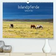 Islandpferde take it Isi (Premium, hochwertiger DIN A2 Wandkalender 2022, Kunstdruck in Hochglanz)
