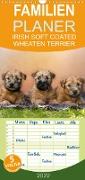 IRISH SOFT COATED WHEATEN TERRIER - Familienplaner hoch (Wandkalender 2022 , 21 cm x 45 cm, hoch)