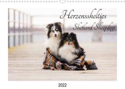 Herzensshelties - Shetland Sheepdogs (Wandkalender 2022 DIN A3 quer)