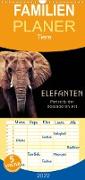 Elefanten - Portraits der besonderen Art - Familienplaner hoch (Wandkalender 2022 , 21 cm x 45 cm, hoch)