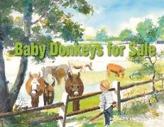 Baby Donkeys for Sale: Volume 1