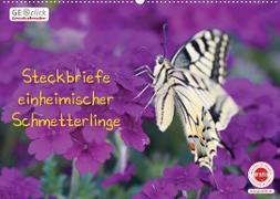 GEOclick Lernkalender: Steckbriefe einheimischer Schmetterlinge (Wandkalender 2022 DIN A2 quer)