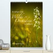 Im richtigen Licht: Wilde Orchideen in Südbayern (Premium, hochwertiger DIN A2 Wandkalender 2022, Kunstdruck in Hochglanz)
