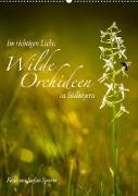 Im richtigen Licht: Wilde Orchideen in Südbayern (Wandkalender 2022 DIN A2 hoch)