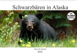 Schwarzbären in Alaska (Wandkalender 2022 DIN A2 quer)