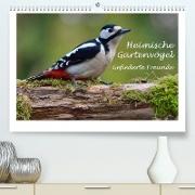 Heimische Gartenvögel Gefiederte Freunde (Premium, hochwertiger DIN A2 Wandkalender 2022, Kunstdruck in Hochglanz)