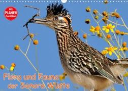 Flora und Fauna der Sonora Wüste (Wandkalender 2022 DIN A3 quer)