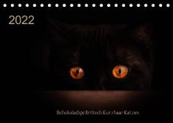 Schokoladige Britisch Kurzhaar Katzen (Tischkalender 2022 DIN A5 quer)