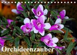 Orchideenzauber (Tischkalender 2022 DIN A5 quer)