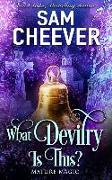 What Devilry is This?: A Paranormal Women's Fiction Novel