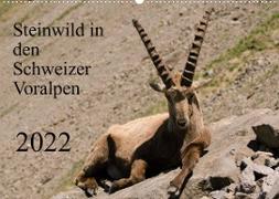 Steinwild in den Schweizer Voralpen (Wandkalender 2022 DIN A2 quer)