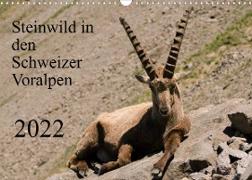 Steinwild in den Schweizer Voralpen (Wandkalender 2022 DIN A3 quer)