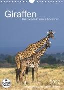 Giraffen - Die Grazien in Afrikas Savannen (Wandkalender 2022 DIN A4 hoch)