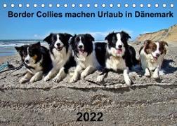 Border Collies machen Urlaub in Dänemark (Tischkalender 2022 DIN A5 quer)