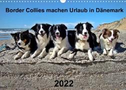 Border Collies machen Urlaub in Dänemark (Wandkalender 2022 DIN A3 quer)