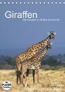 Giraffen - Die Grazien in Afrikas Savannen (Tischkalender 2022 DIN A5 hoch)