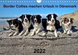 Border Collies machen Urlaub in Dänemark (Wandkalender 2022 DIN A4 quer)