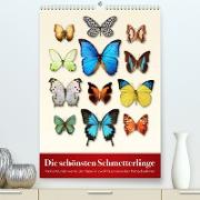 Die schönsten Schmetterlinge (Premium, hochwertiger DIN A2 Wandkalender 2022, Kunstdruck in Hochglanz)