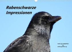 Rabenschwarze Impressionen - meike-ajo-dettlaff.de via wildvogelhlfe.org (Wandkalender 2022 DIN A3 quer)