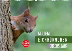 Mit dem Eichhörnchen durchs Jahr (Wandkalender 2022 DIN A2 quer)