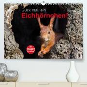 Guck mal, ein Eichhörnchen! (Premium, hochwertiger DIN A2 Wandkalender 2022, Kunstdruck in Hochglanz)